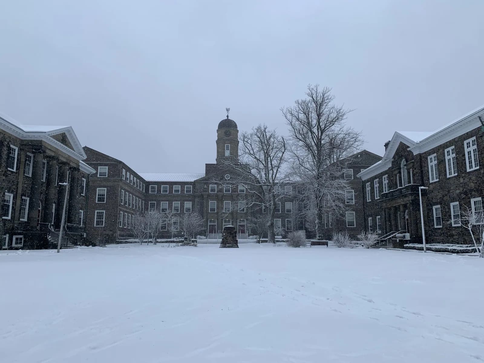 大学の写真です。冬は雪がすごいです。