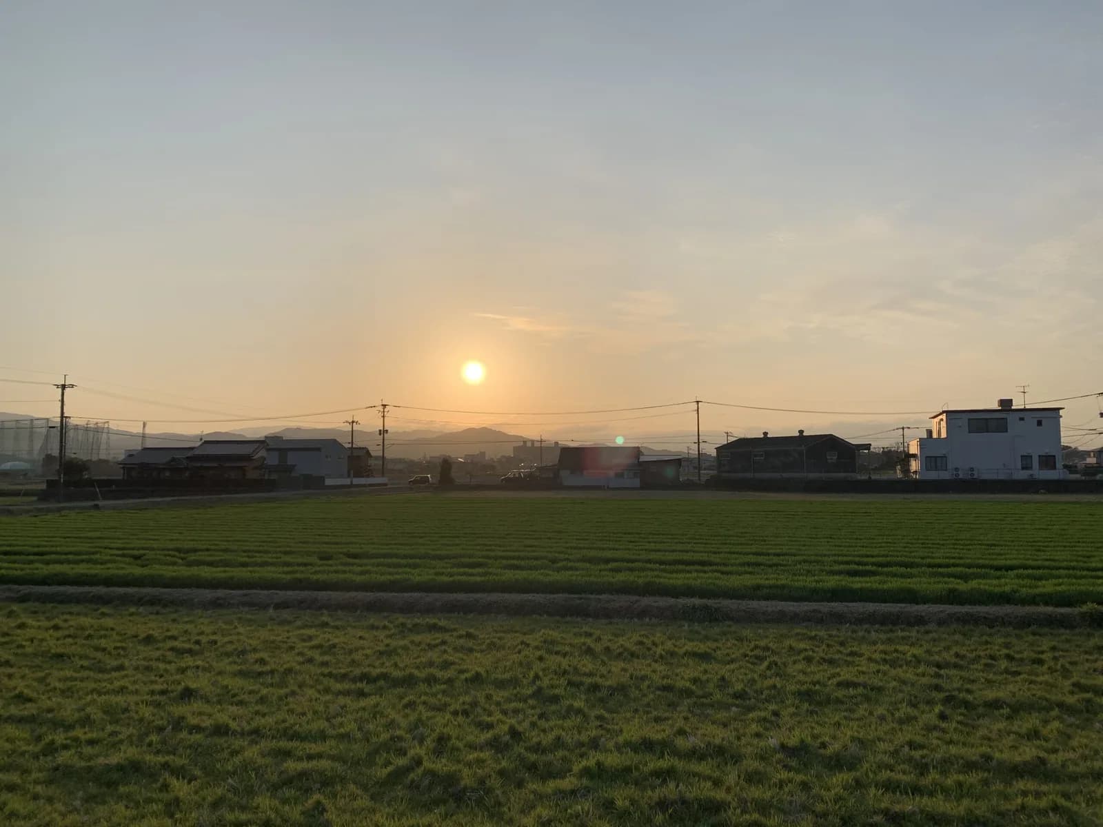 地元の写真。田んぼばっかり!(笑)
